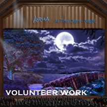 Volunteer Work Button2