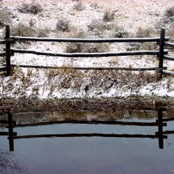 snowy fence reflection 5 x 7